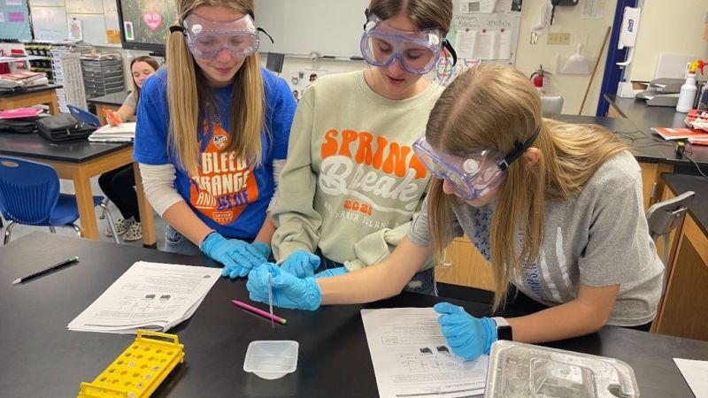 Hands-On Learning