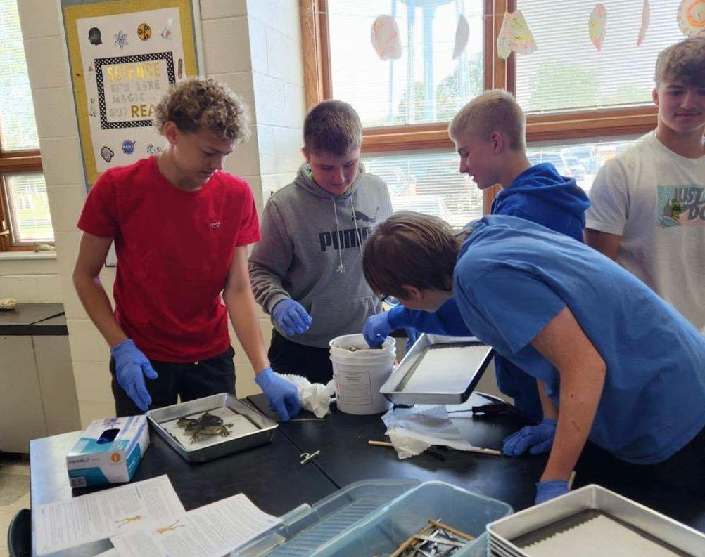 Frog Dissection